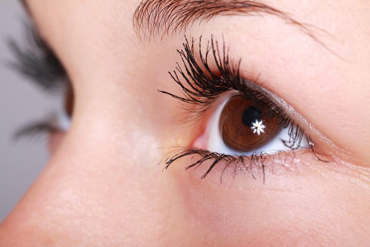 how to start an eyelash business in 7 steps