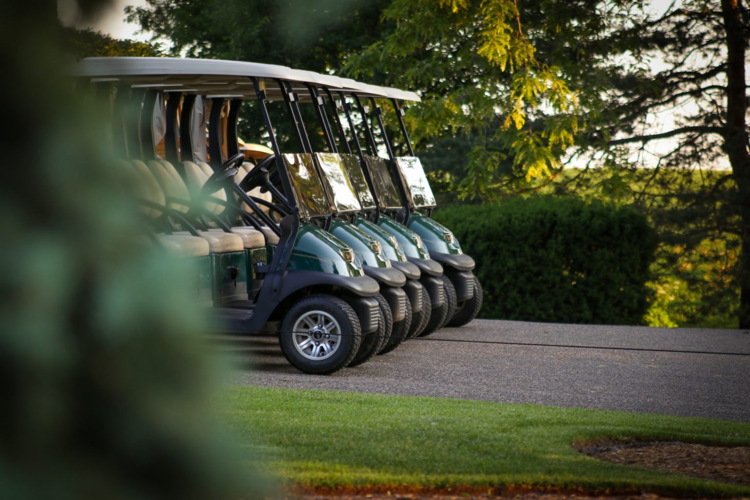 golf cart rentals business plan