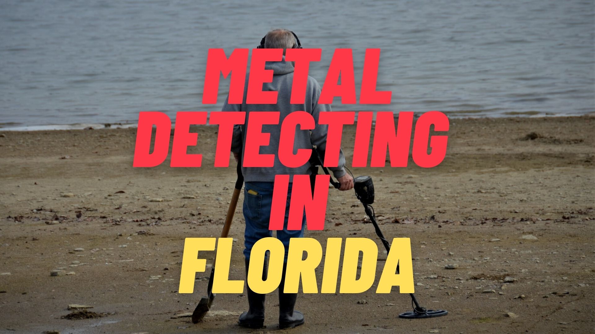Metal Detecting in Florida