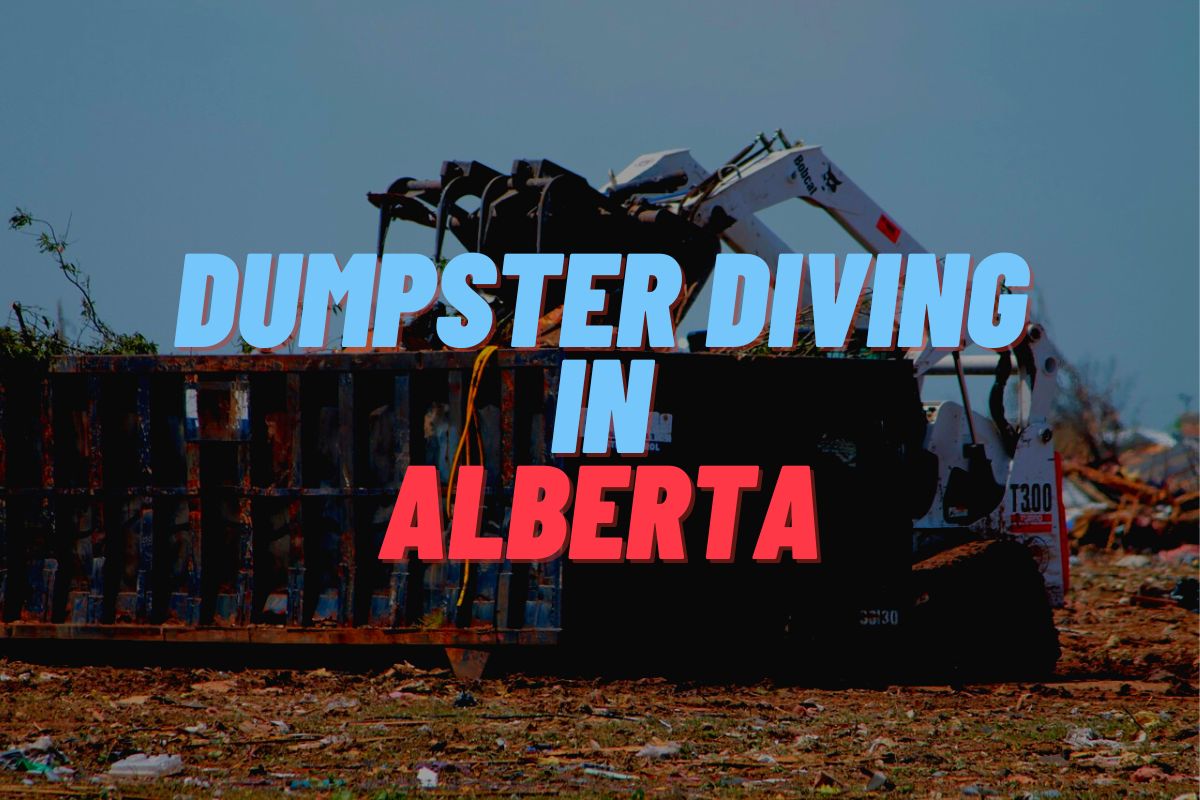 Dumpster Diving In Alberta