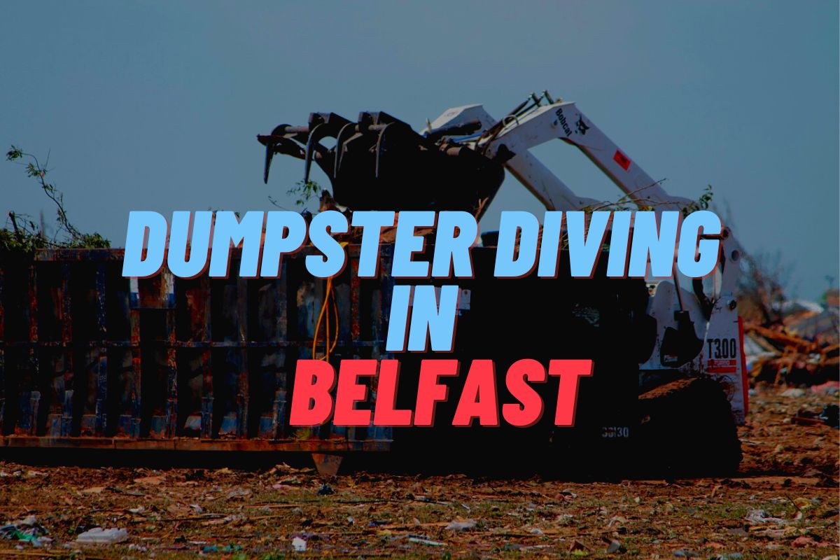 Dumpster Diving In Belfast