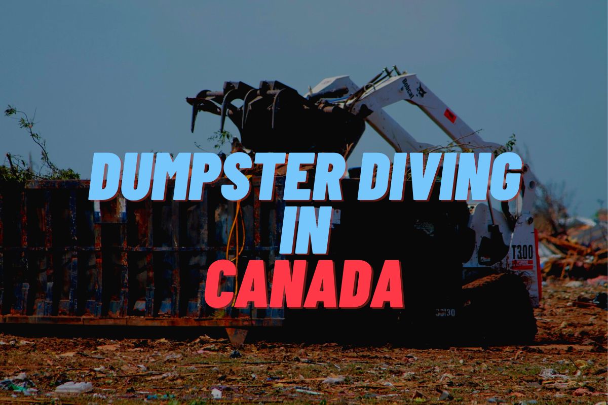 Dumpster Diving In Canada