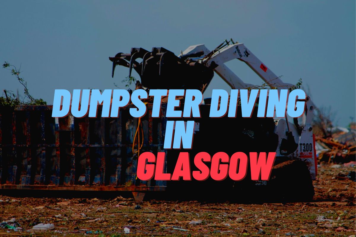 Dumpster Diving In Glasgow