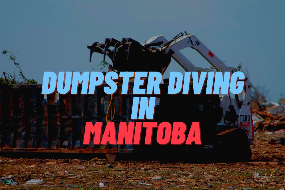 Dumpster Diving In Manitoba