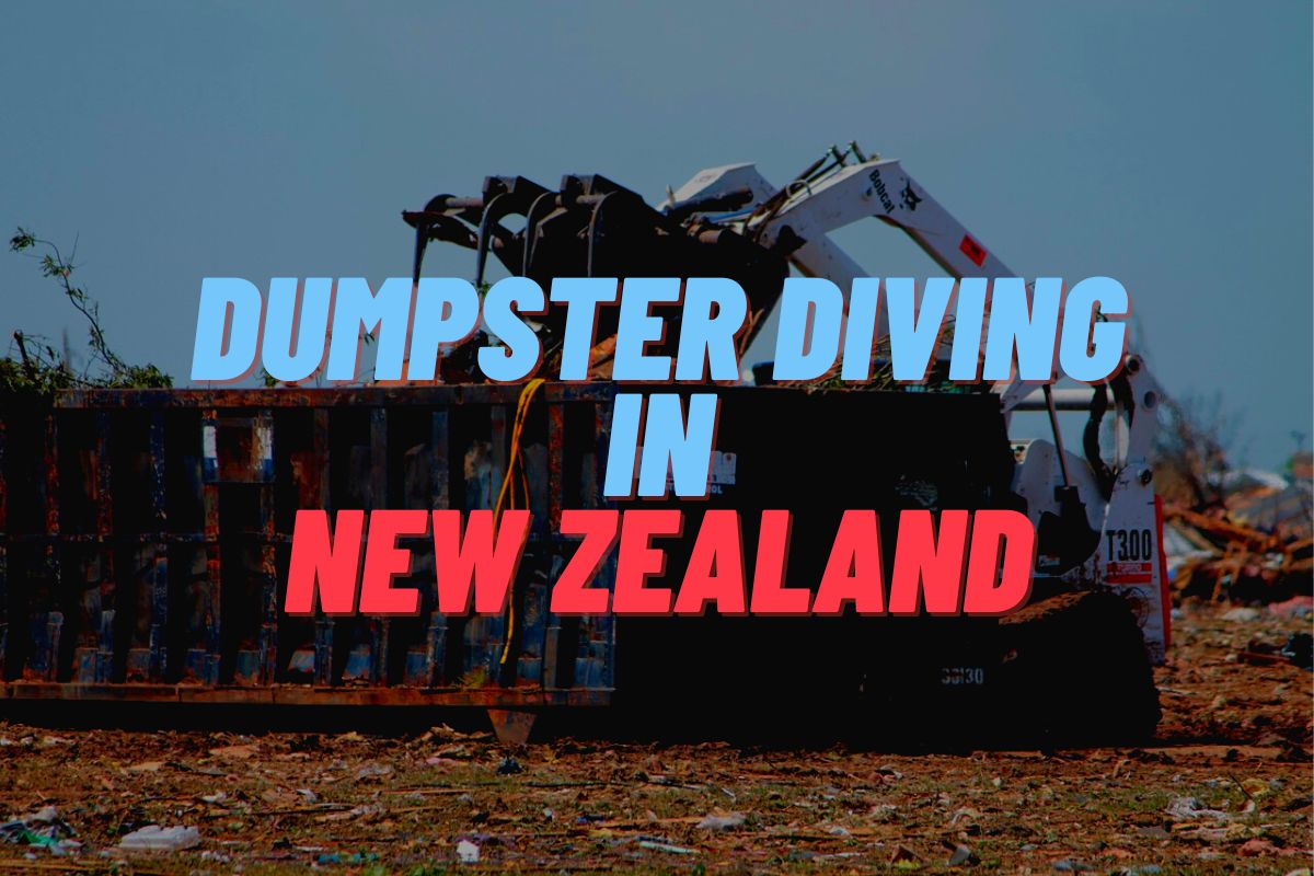 Dumpster Diving In New Zealand
