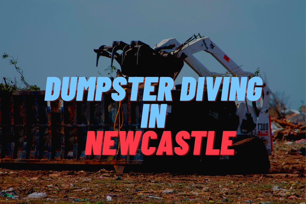 Dumpster Diving In Newcastle