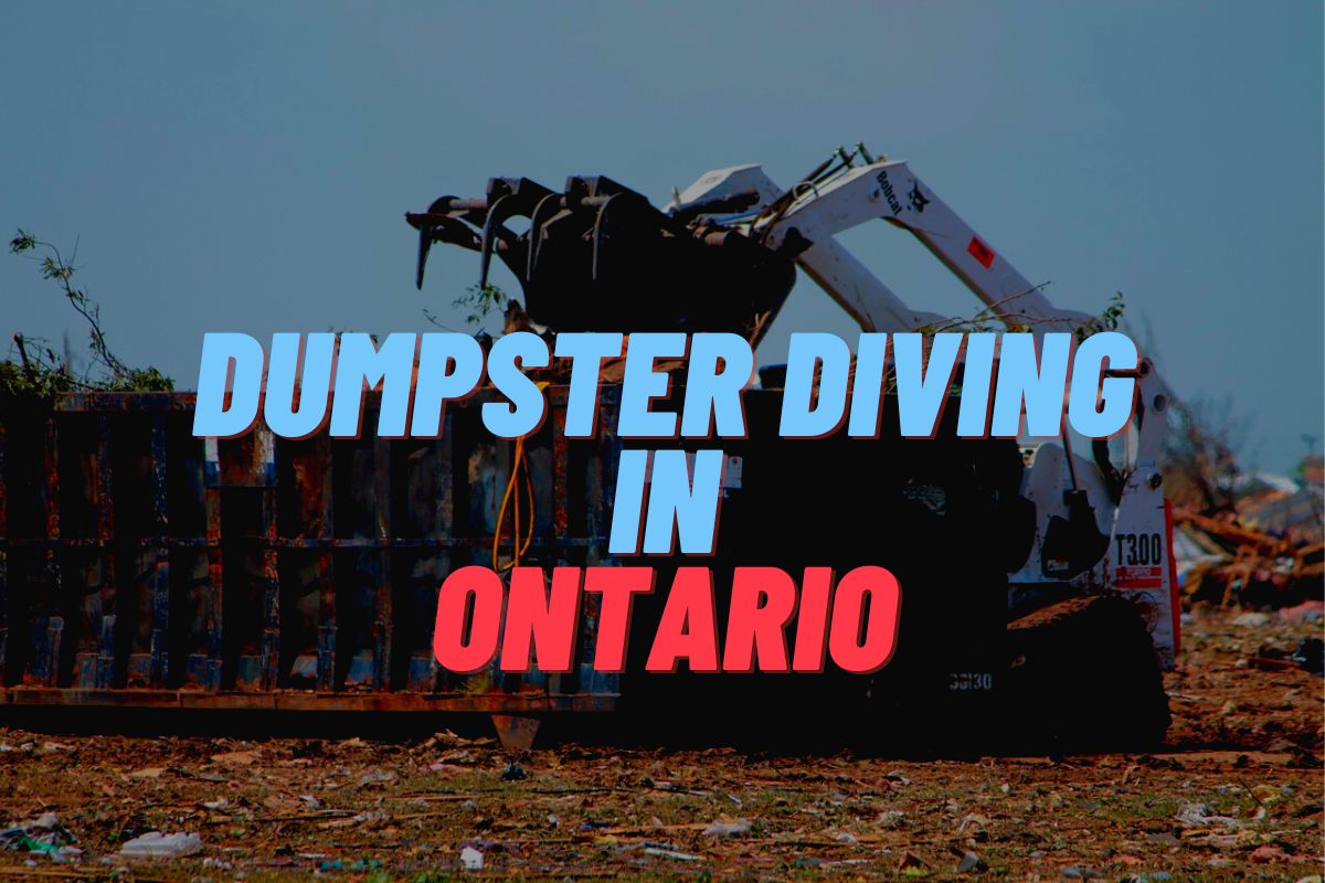 Dumpster Diving In Ontario