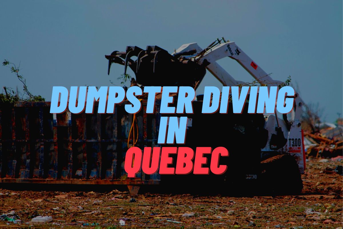 Dumpster Diving In Quebec