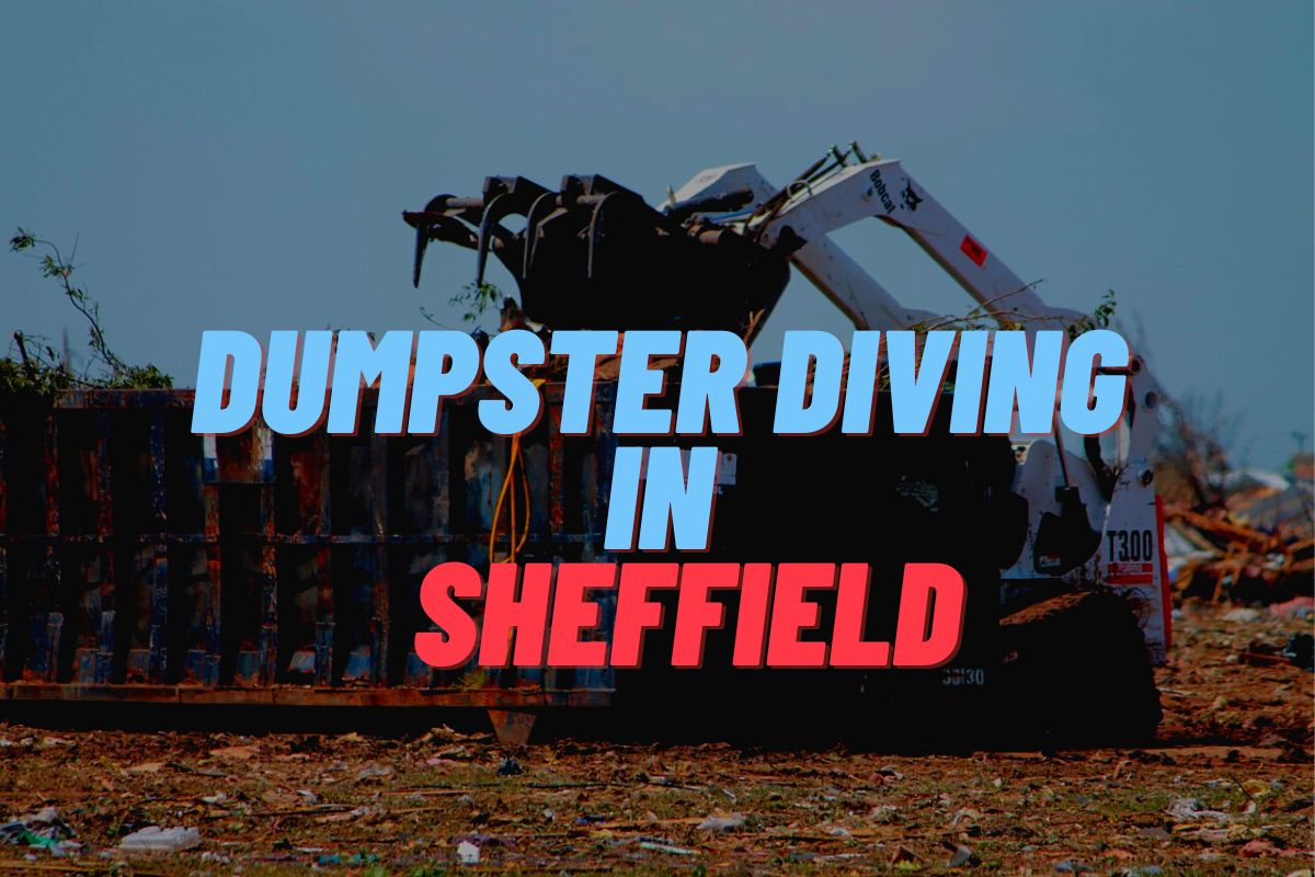 Dumpster Diving In Sheffield