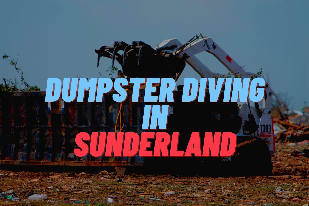 Dumpster Diving In Sunderland