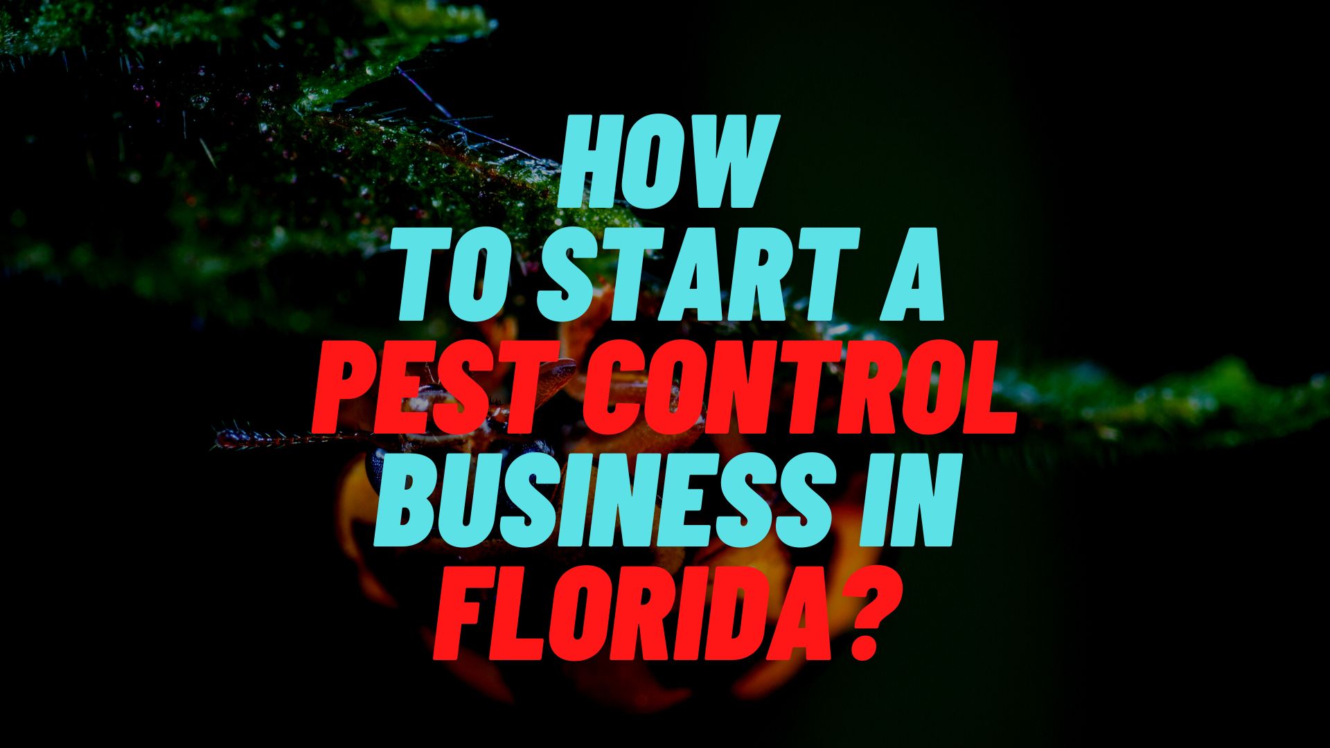 How to start a pest control business in Florida?