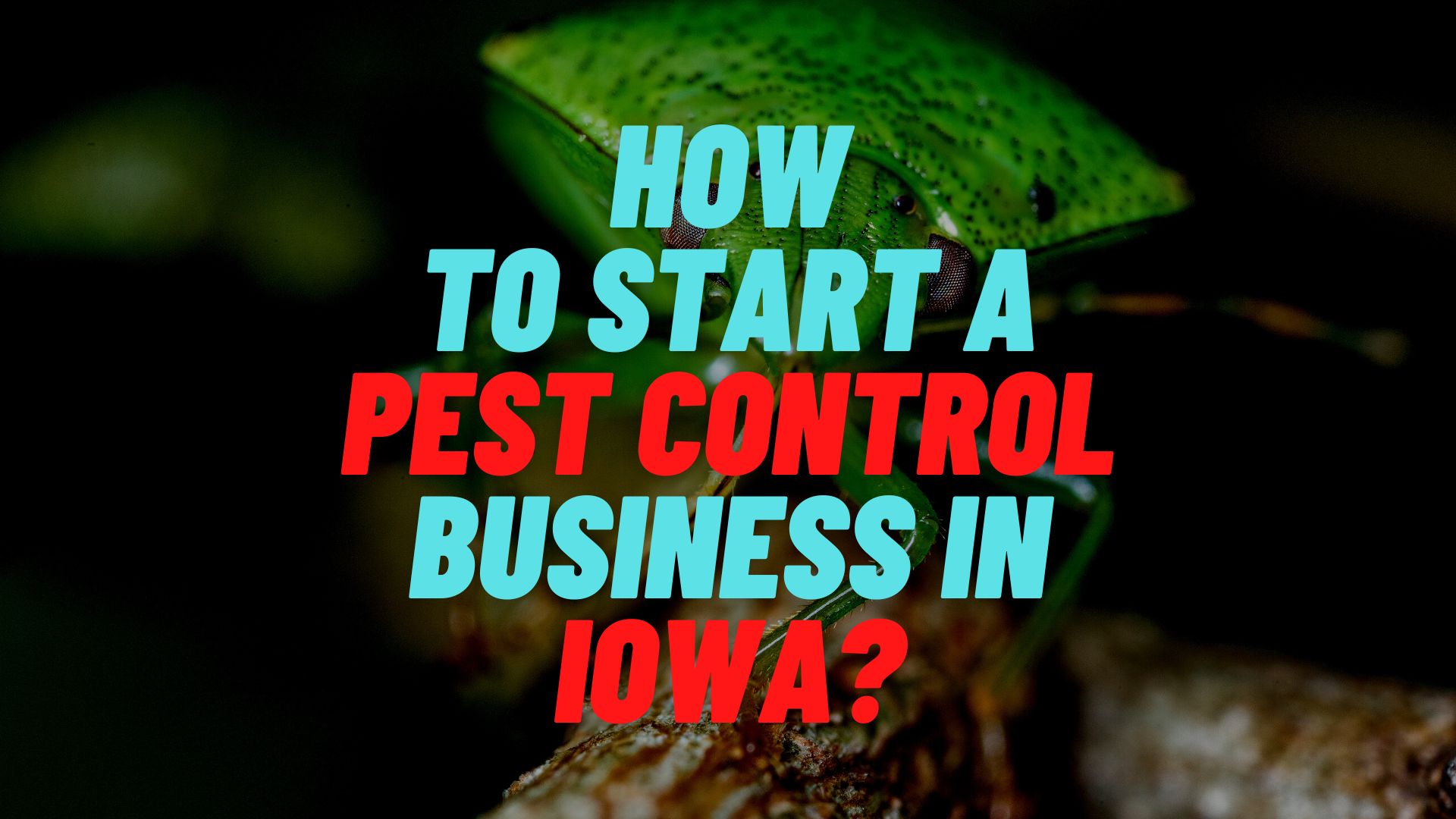 How to start a pest control business in Iowa?