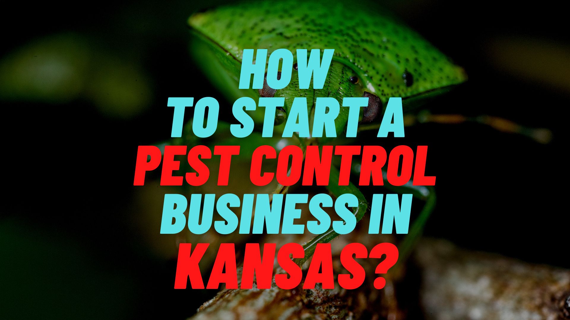 How to start a pest control business in Kansas?