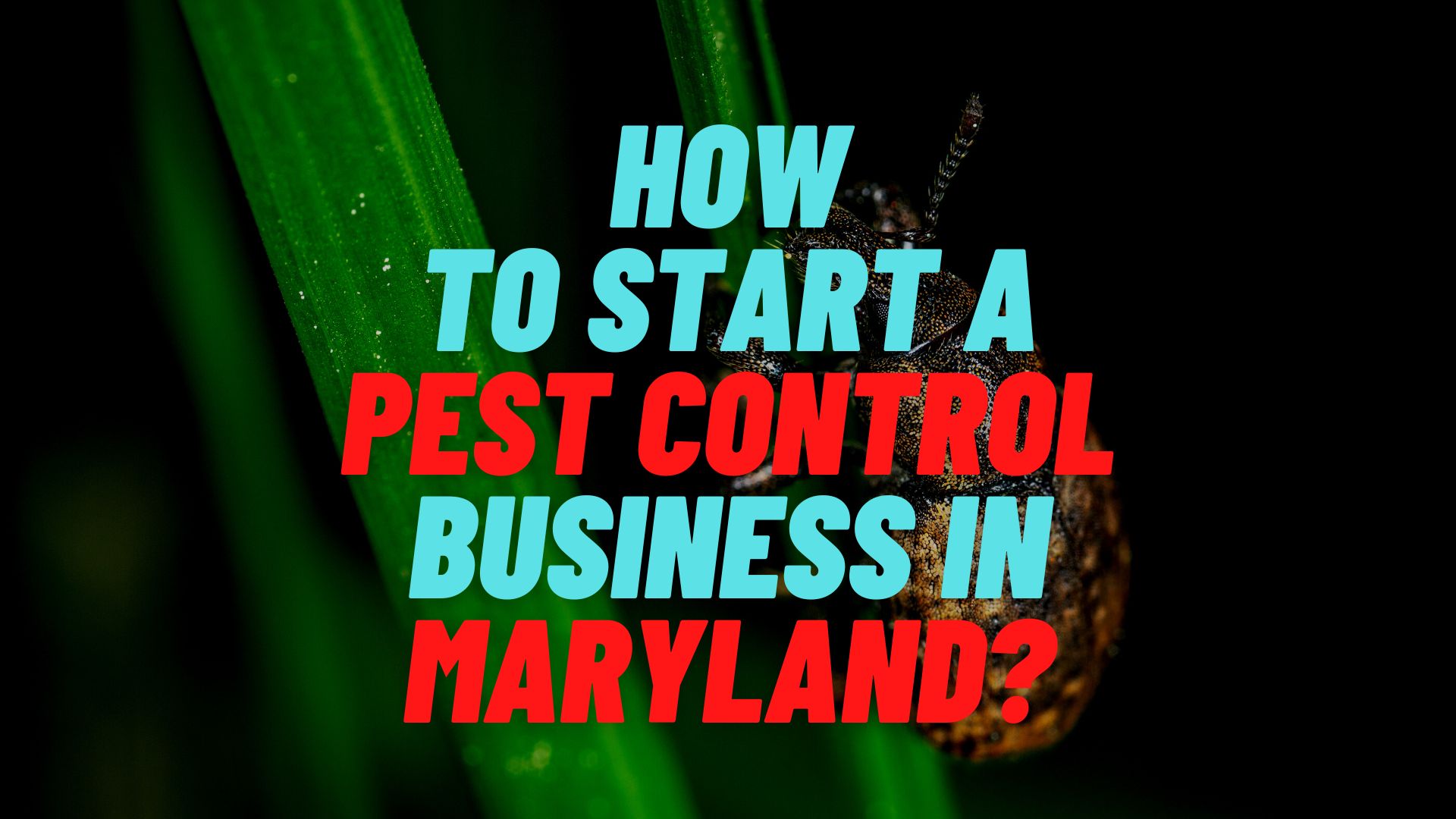 How to start a pest control business in Maryland?