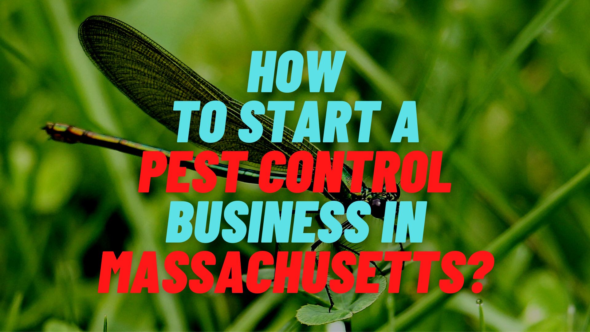 How to start a pest control business in Massachusetts?