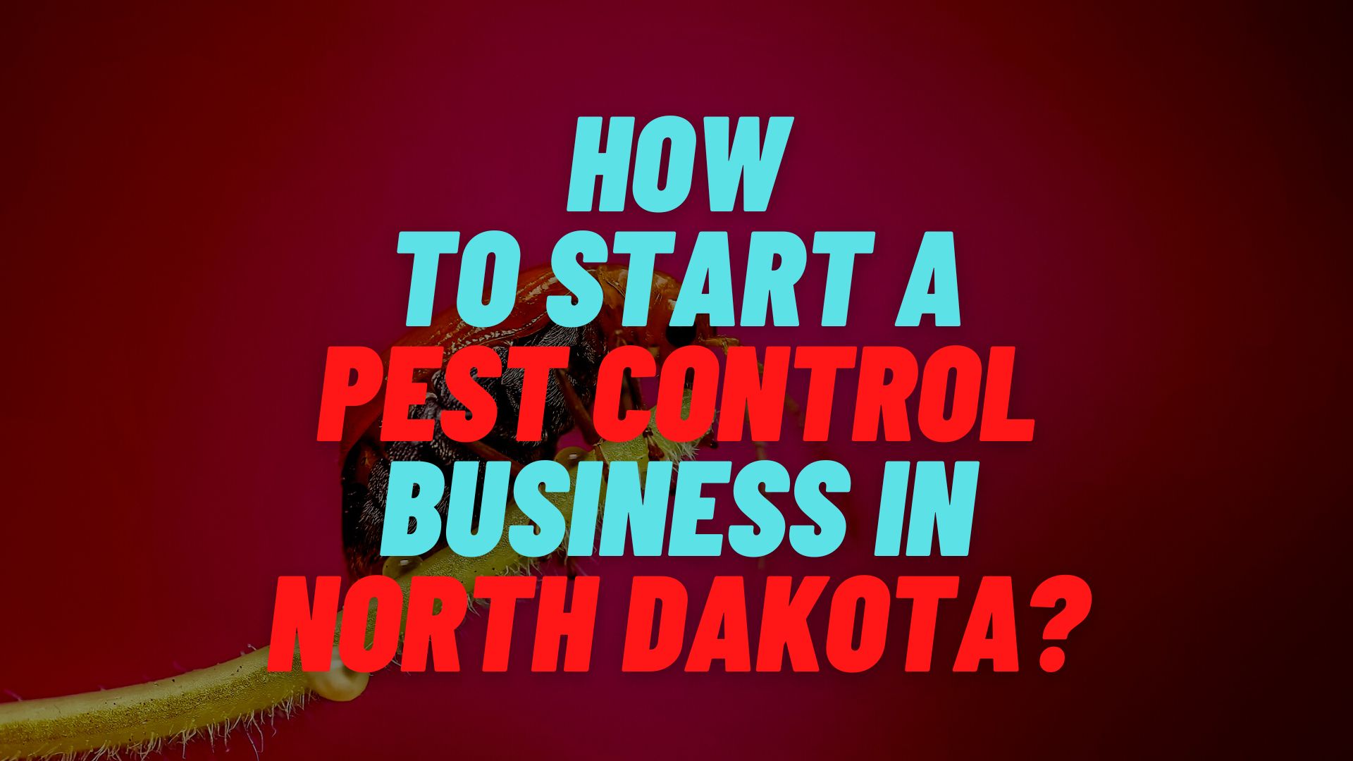 How to start a pest control business in North Dakota?