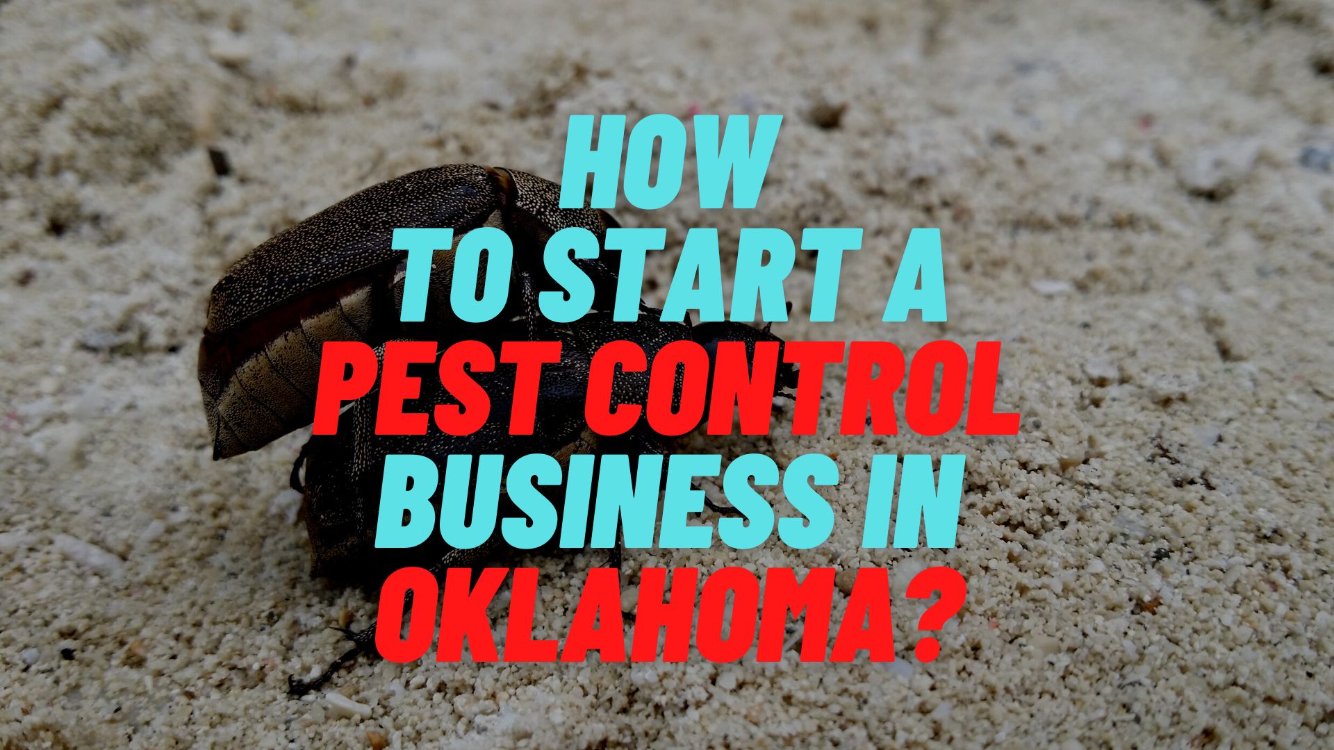 How to start a pest control business in Oklahoma?
