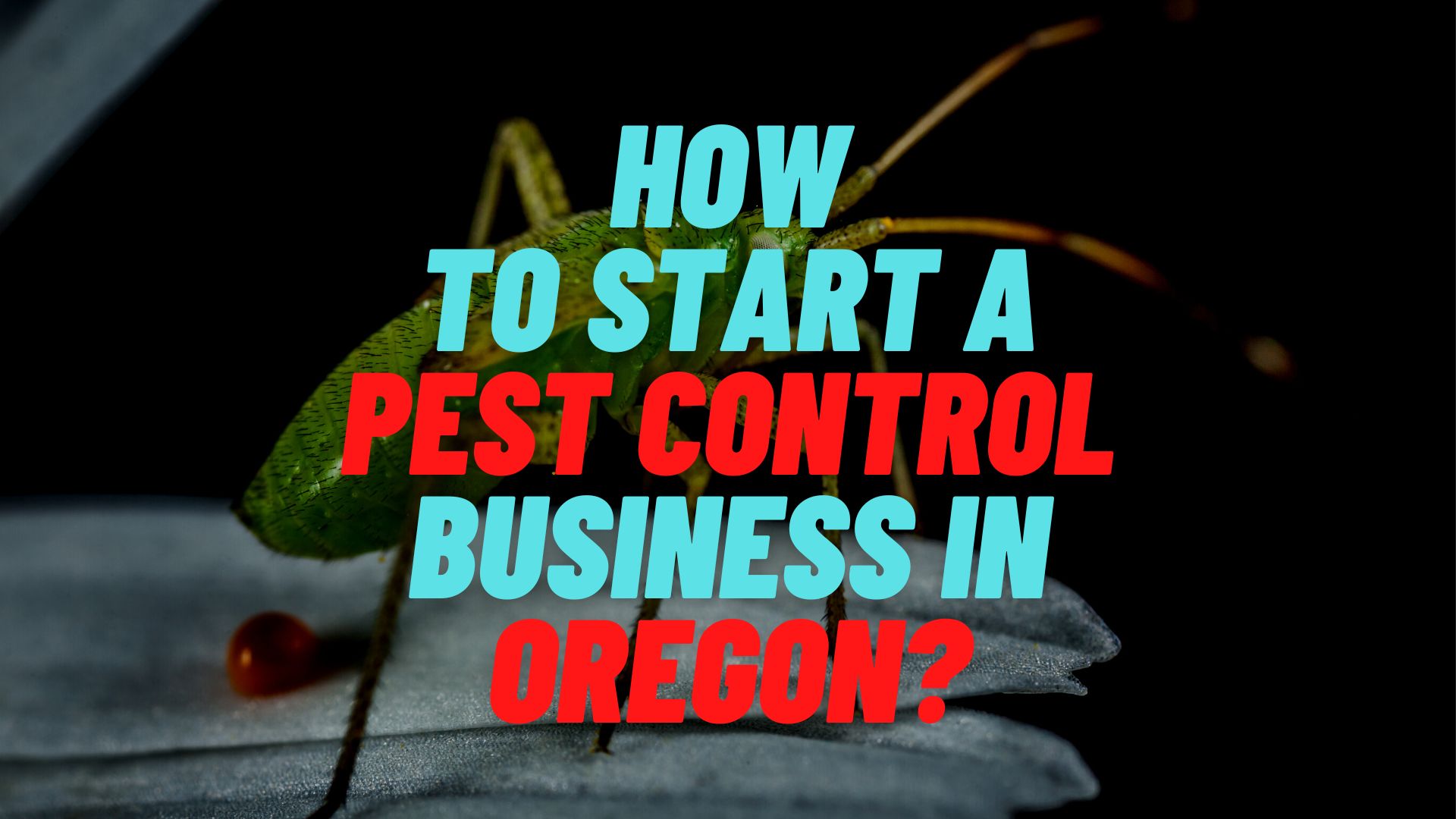 How to start a pest control business in Oregon?
