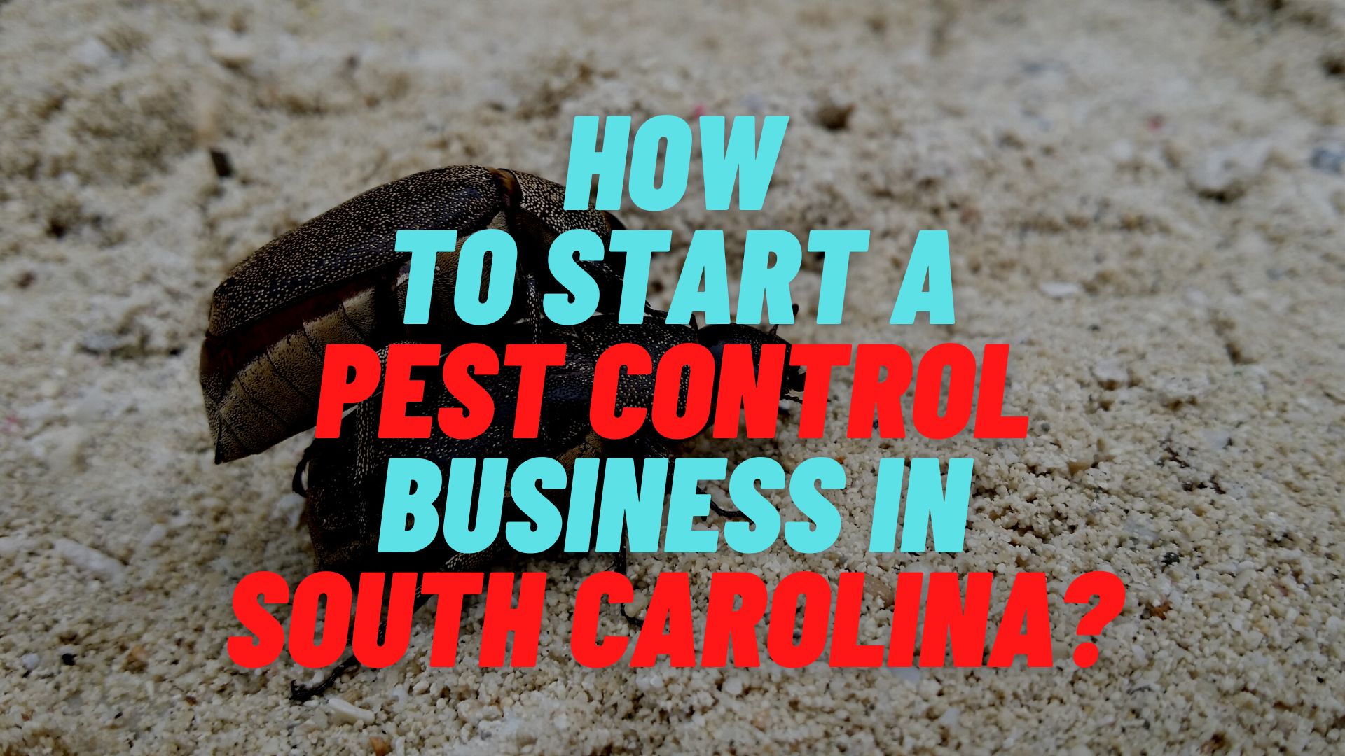 How to start a pest control business in South Carolina?