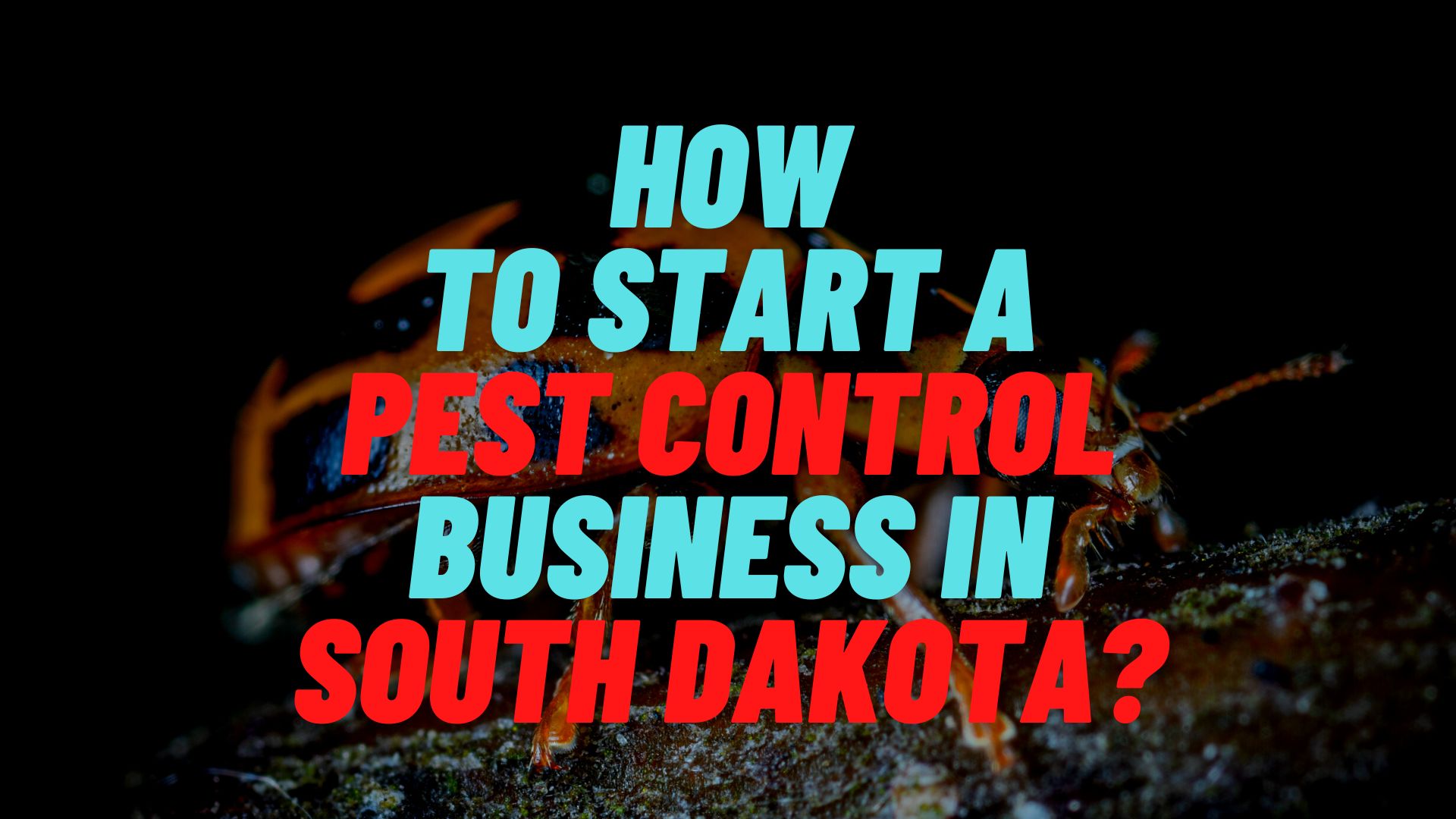 How to start a pest control business in South Dakota?