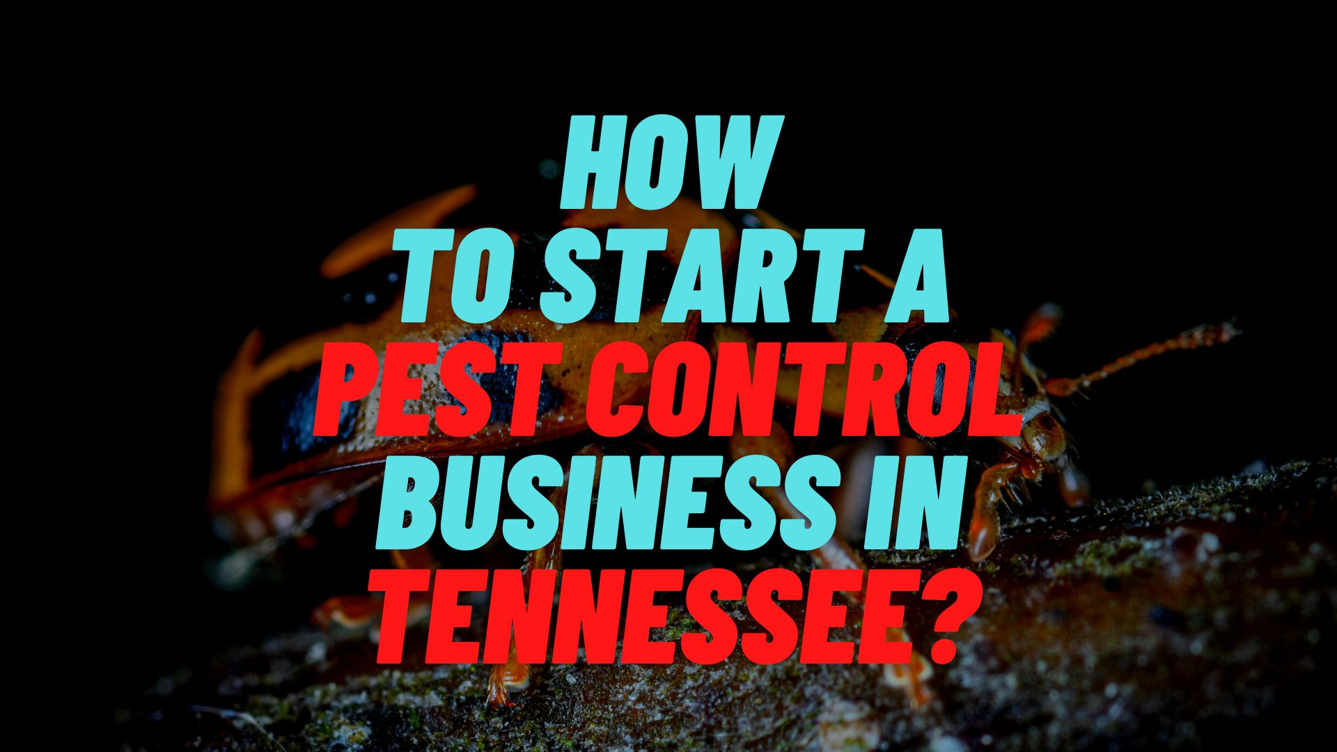 How to start a pest control business in Tennessee?