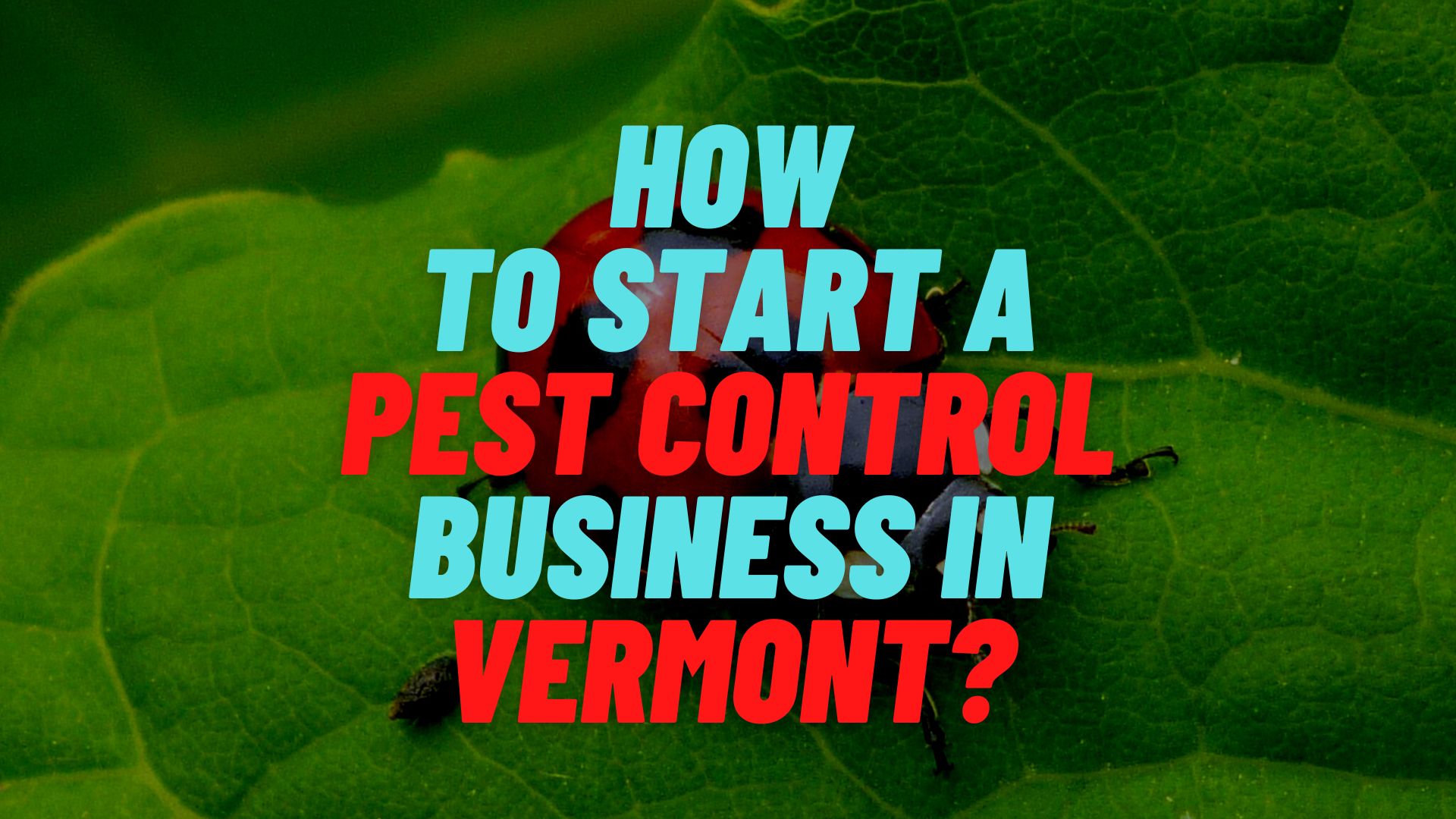 How to start a pest control business in Vermont?