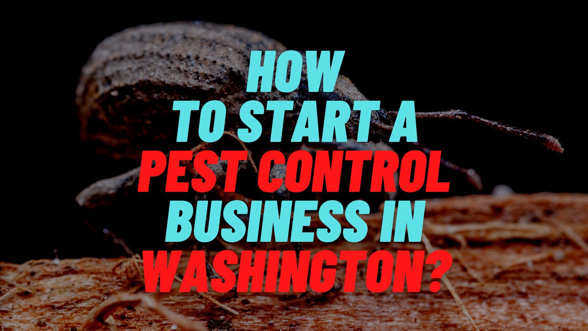 How to start a pest control business in Washington?