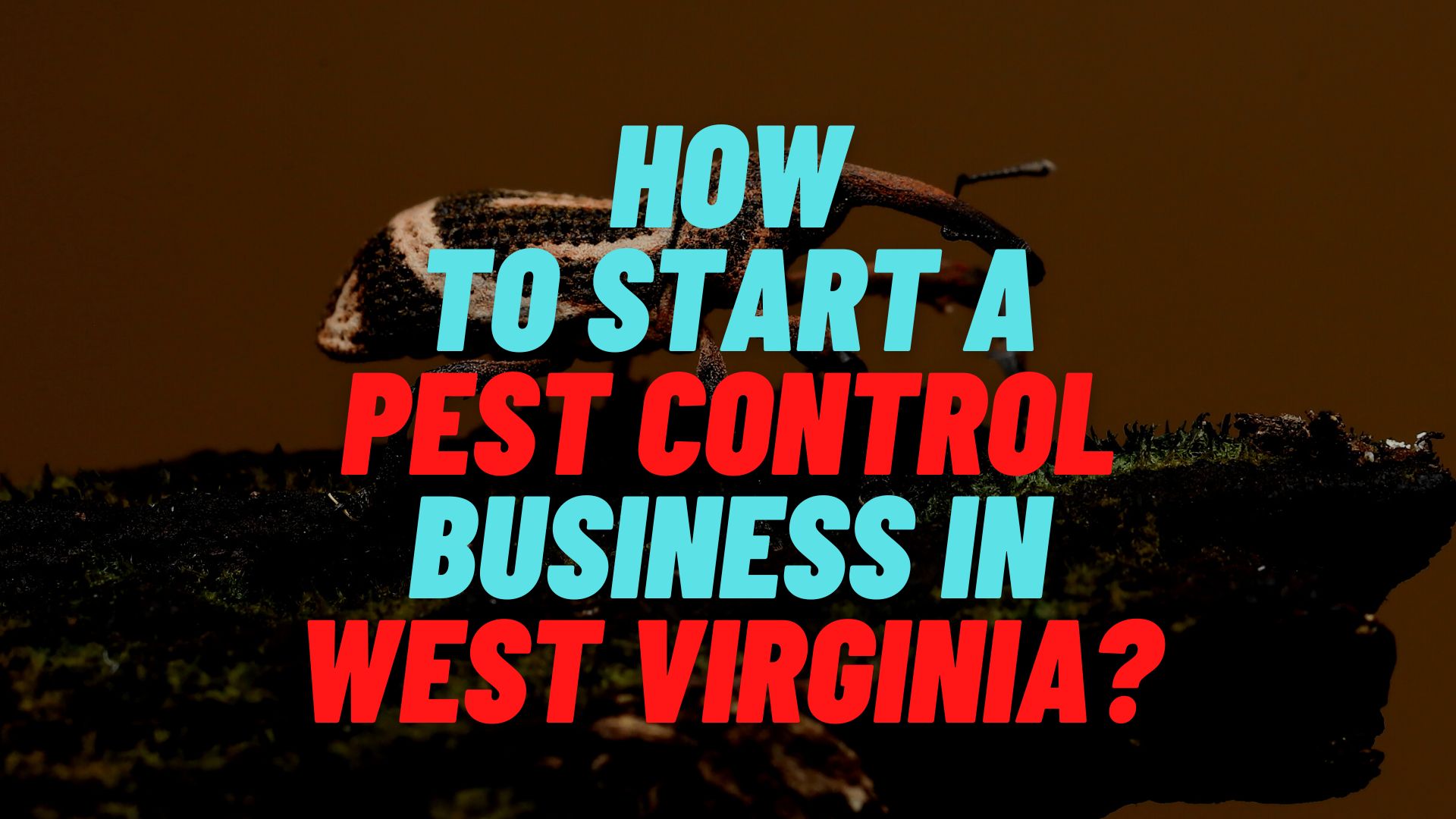 How to start a pest control business in West Virginia?