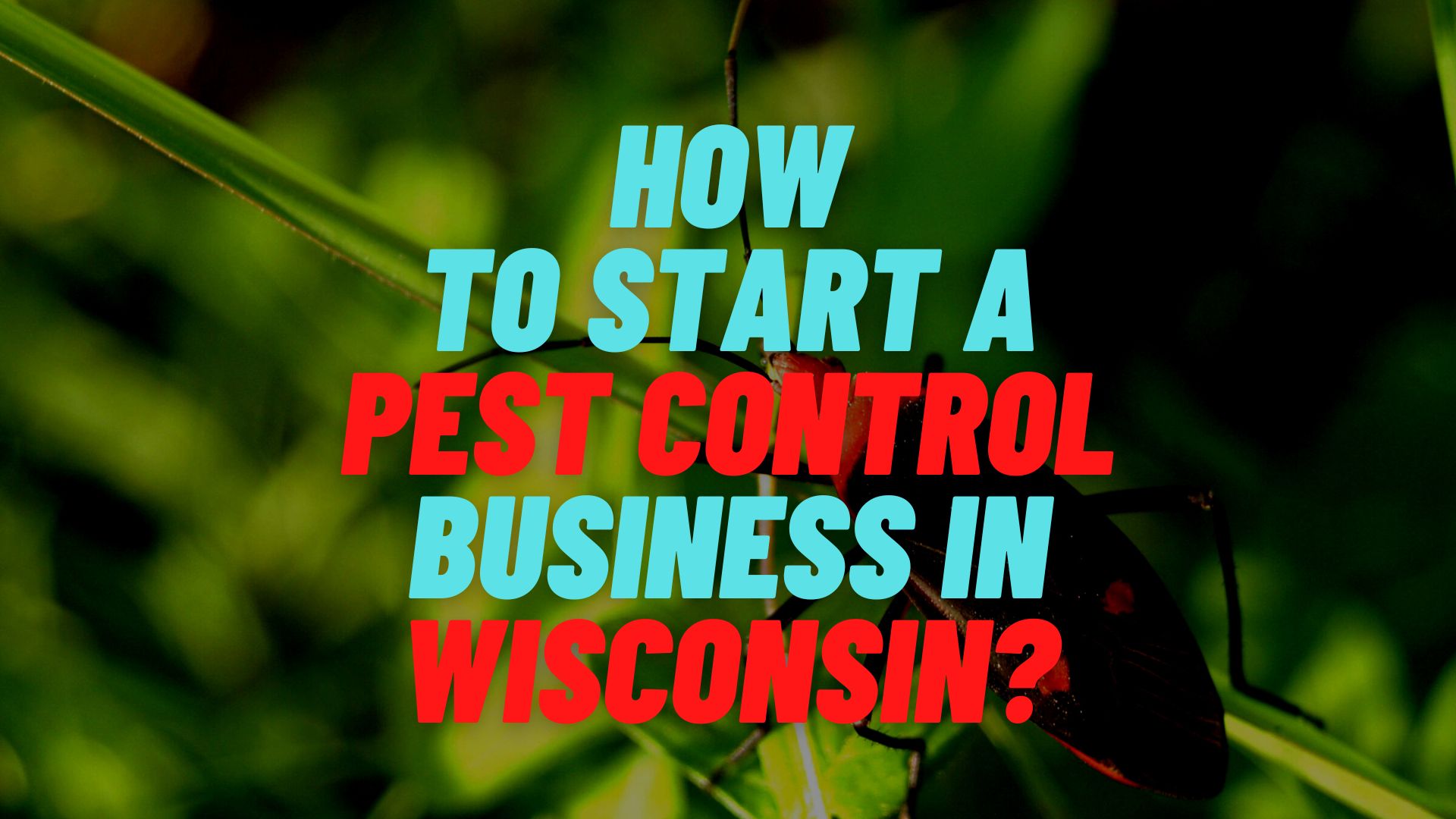 How to start a pest control business in Wisconsin?