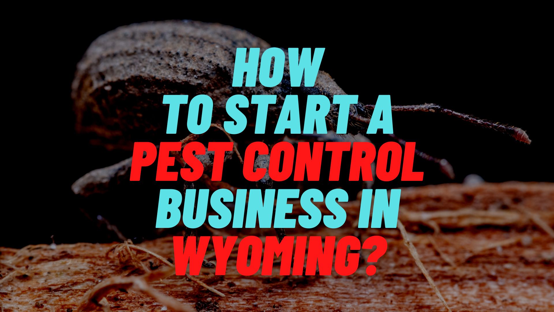 How to start a pest control business in Wyoming?
