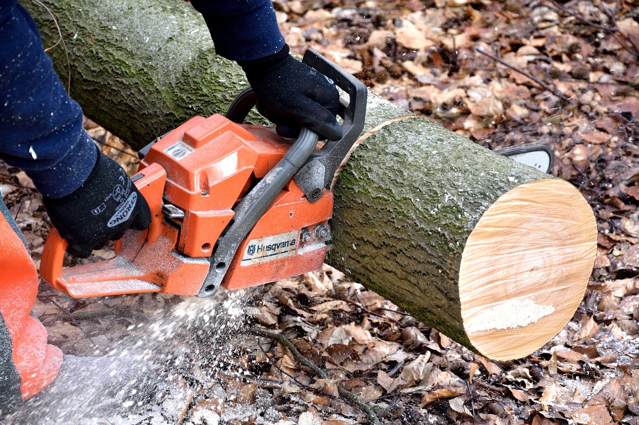 How to start a tree cutting business?