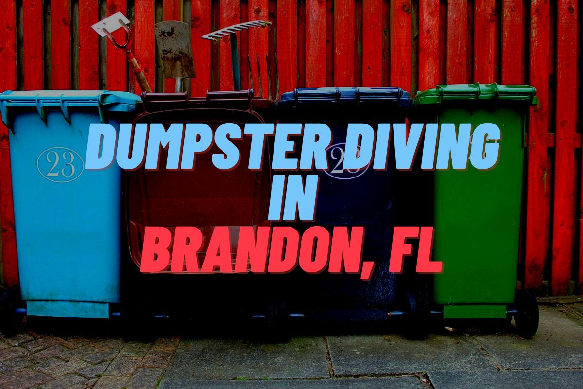 Dumpster Diving In Brandon, FL