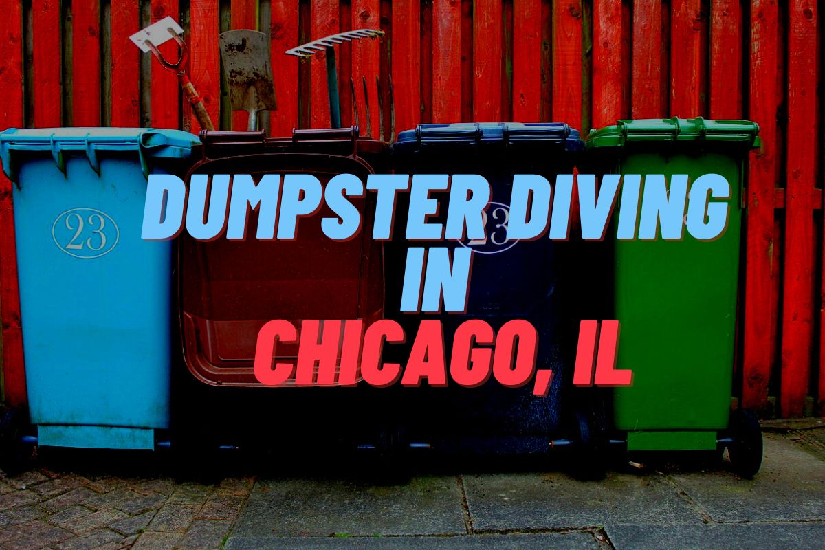 Dumpster Diving In Chicago, IL