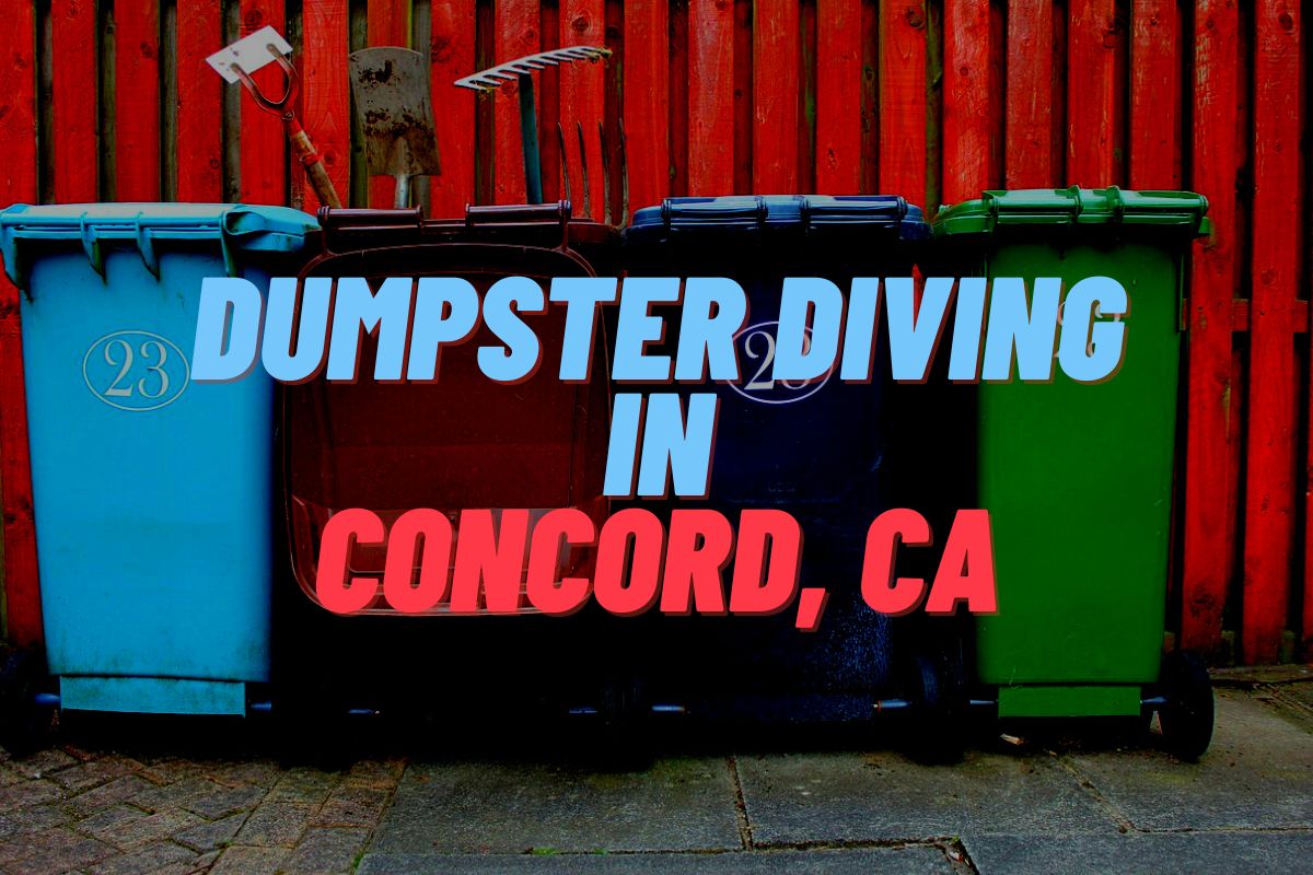 Dumpster Diving In Concord, CA