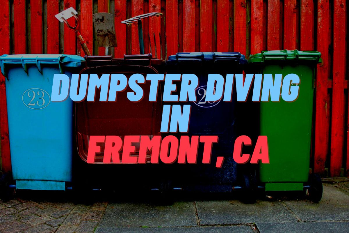 Dumpster Diving In Fremont, CA