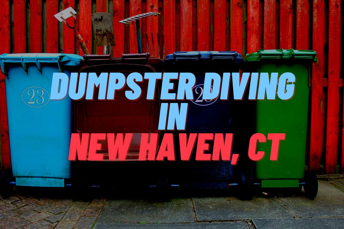 Dumpster Diving In New Haven, CT