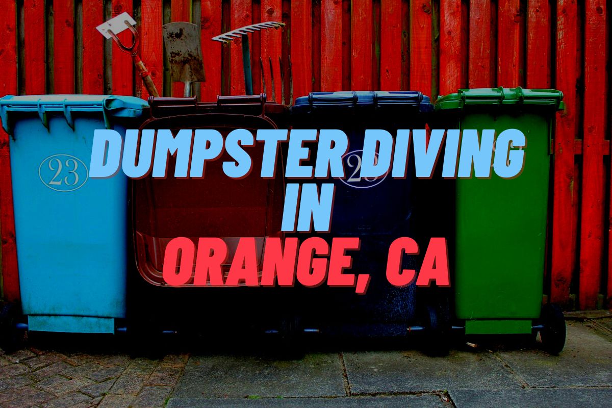 Dumpster Diving In Orange, CA