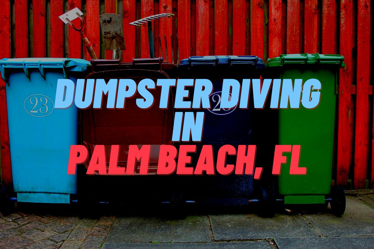 Dumpster Diving In Palm Beach, FL