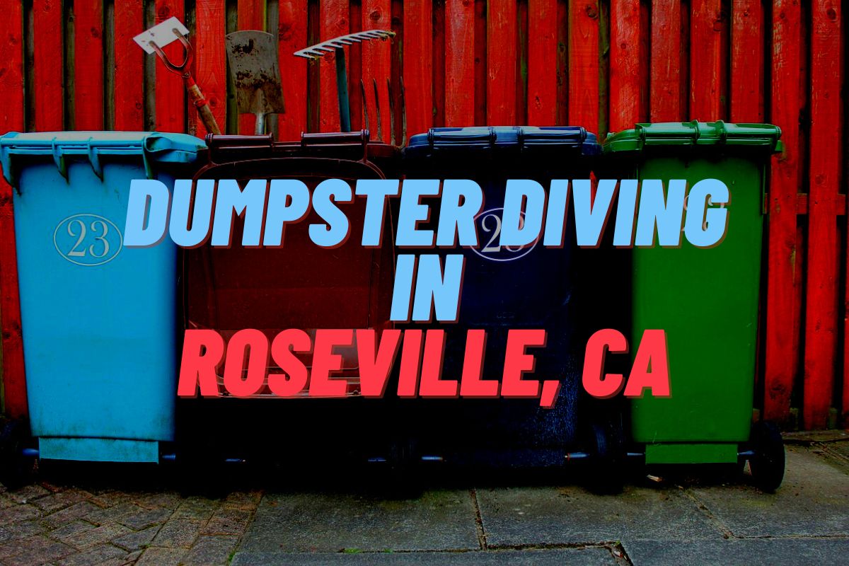 Dumpster Diving In Roseville, CA