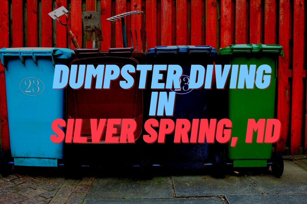 Dumpster Diving In Silver Spring, MD
