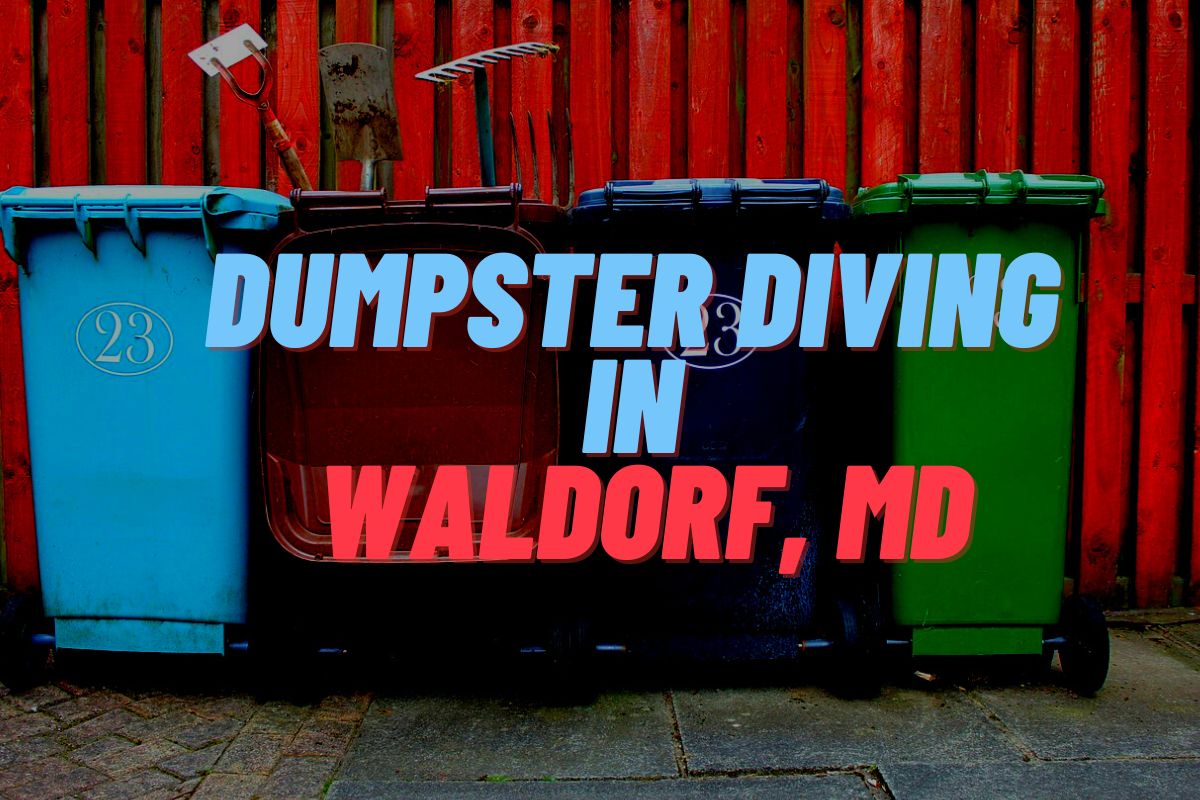 Dumpster Diving In Waldorf, MD